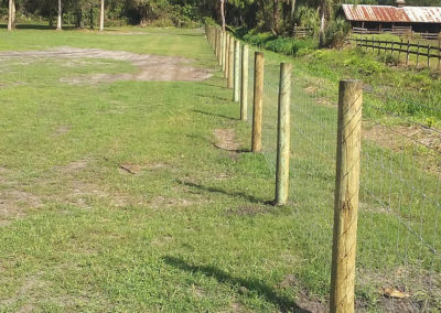 fencing system in a farm