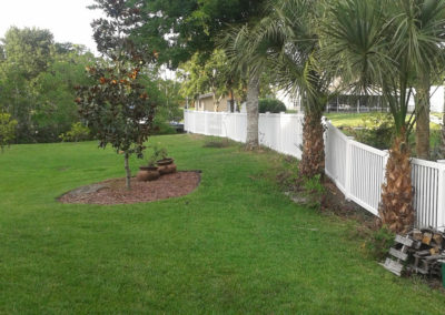 A white picket fence in a yard with palm trees.