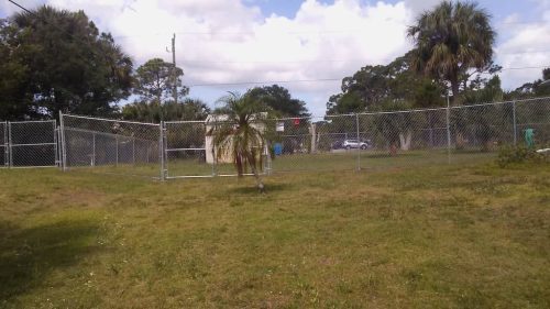 Fence Contractor Palm Bay Florida 127