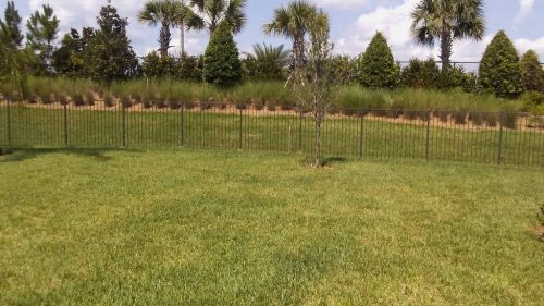 Fence Contractor Palm Bay Florida 45