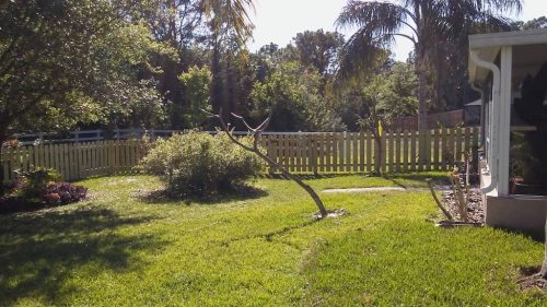 Fence Contractor Palm Bay Florida 68